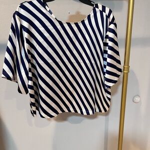 Express Navy and White Striped Crop Top